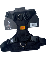 PECHERA MAX-2 LULA&TETE