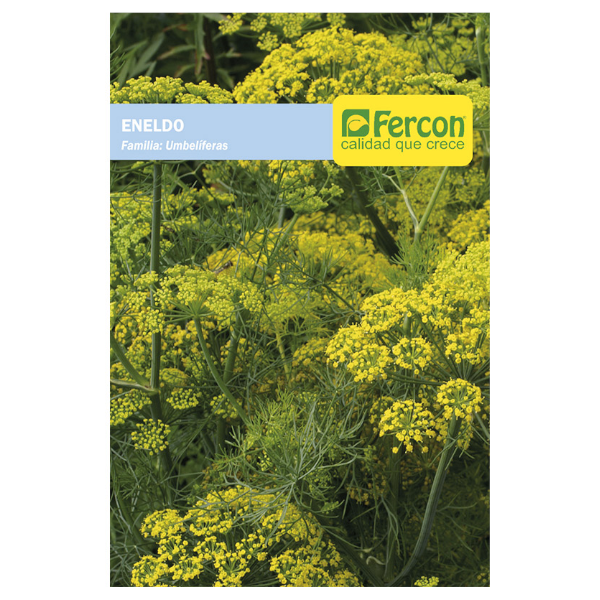 Semillas de Eneldo - Fercon