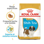 Shih Tzu Puppy