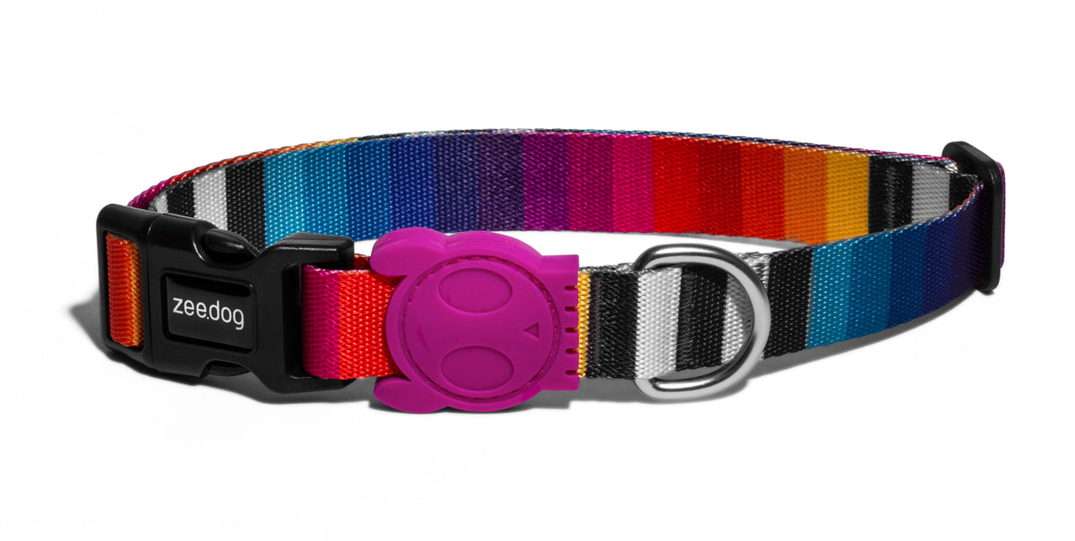 Collares para perros ZEEDOG
