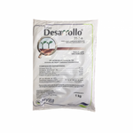 DESARROLLO