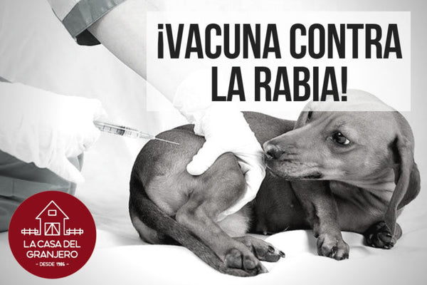 ¡Vacuna contra la rabia!