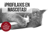 ¿Sabias que la profilaxis es un procedimiento que no dura más de una hora?