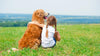 Enfermedades comunes en perros: ¿Cómo evitarlas?