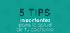 5 tips importantes para la salud de tu gatico