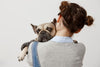 4 razones para Desparasitar tu Mascota en Vacaciones
