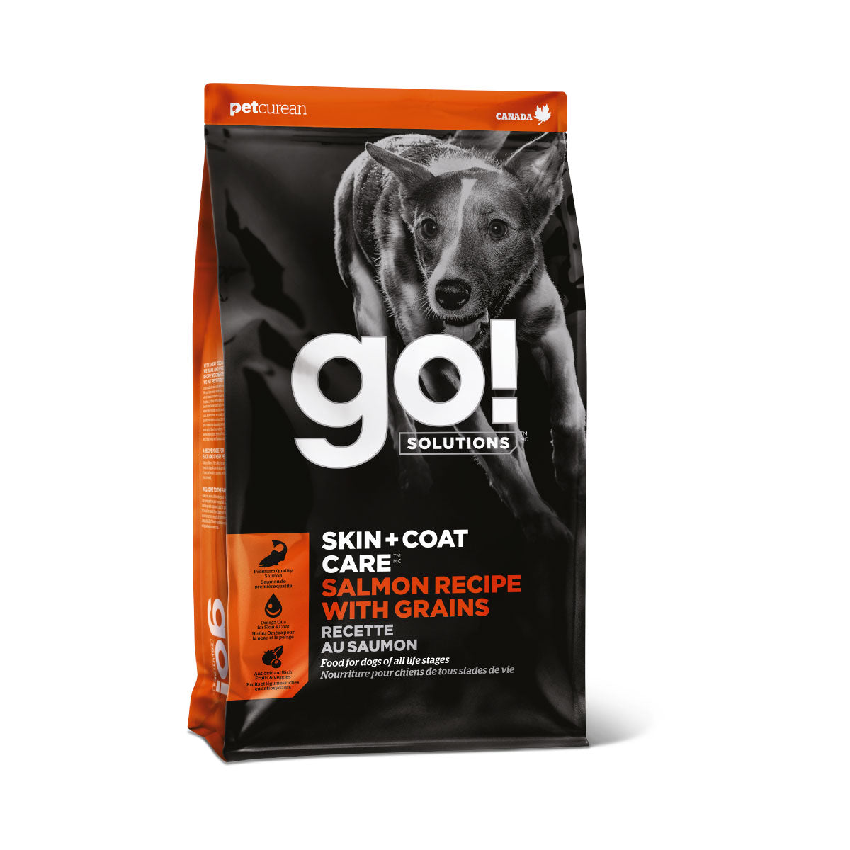 GO! Solutions Adulto Piel Pelo Con Grano Salmón Alimento para perro