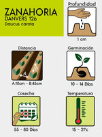 SEMILLAS DE ZANAHORIA DANVERS