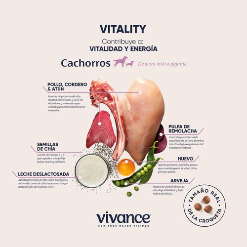 Vivance Vitality Cachorros Alimento para Perros