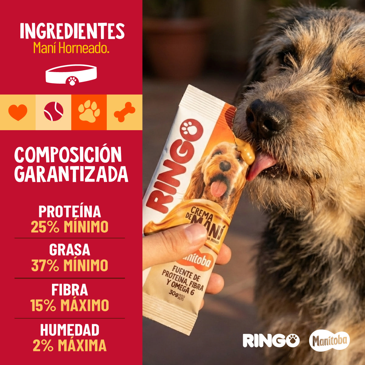 Crema de maní para perros 30gr Ringo