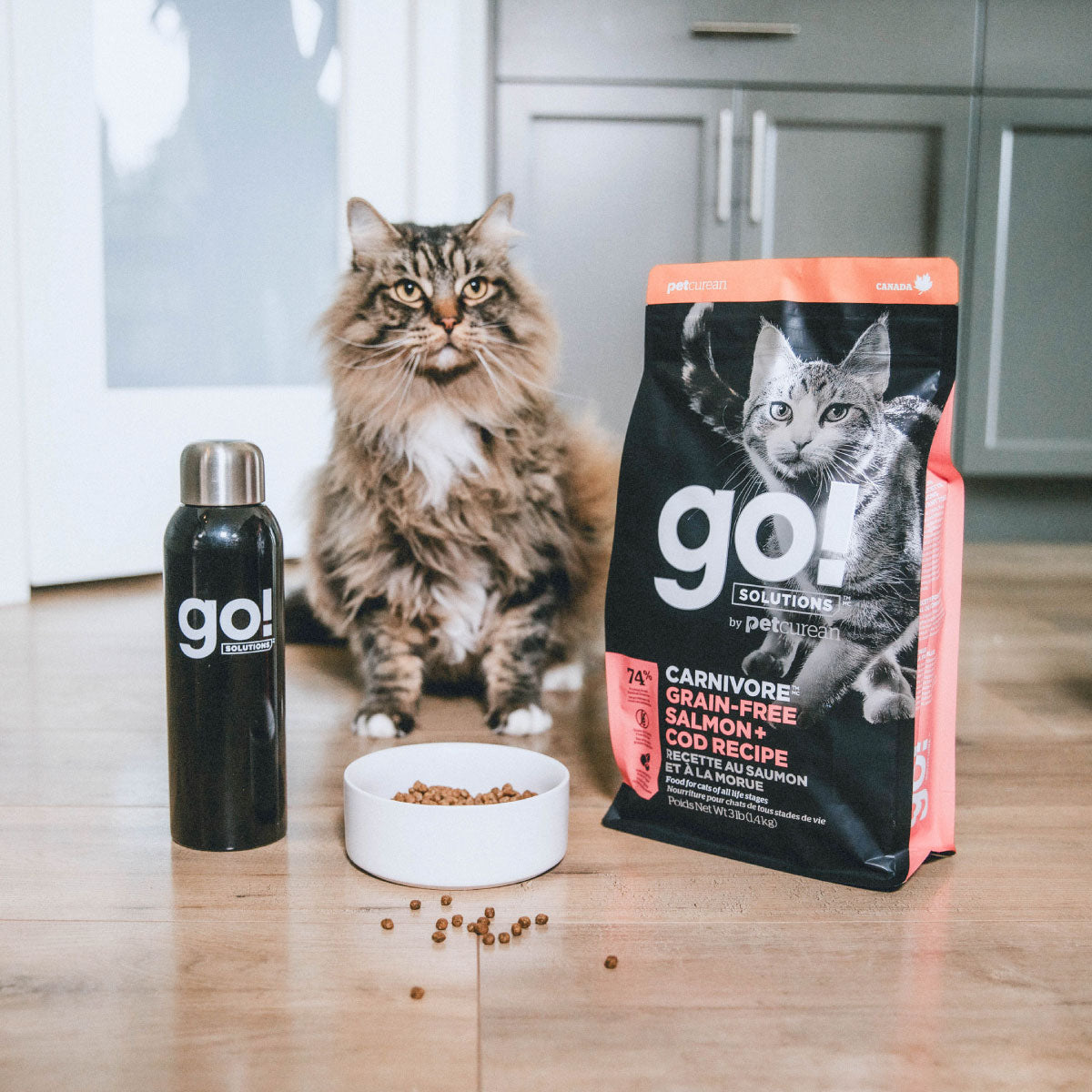GO! Solutions Adulto Carnivore Sin Grano Salmón Bacalao Alimento para Gato
