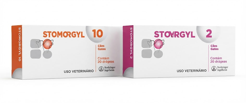 STOMORGYL ANTIBIOTICO PARA PERROS Y GATOS