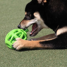 Cargar imagen en el visor de la galería, Juguete Para Perros manzana Dispensadora de Croquetas
