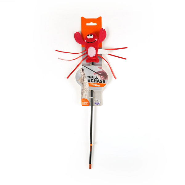 Juguete para Gato Varita