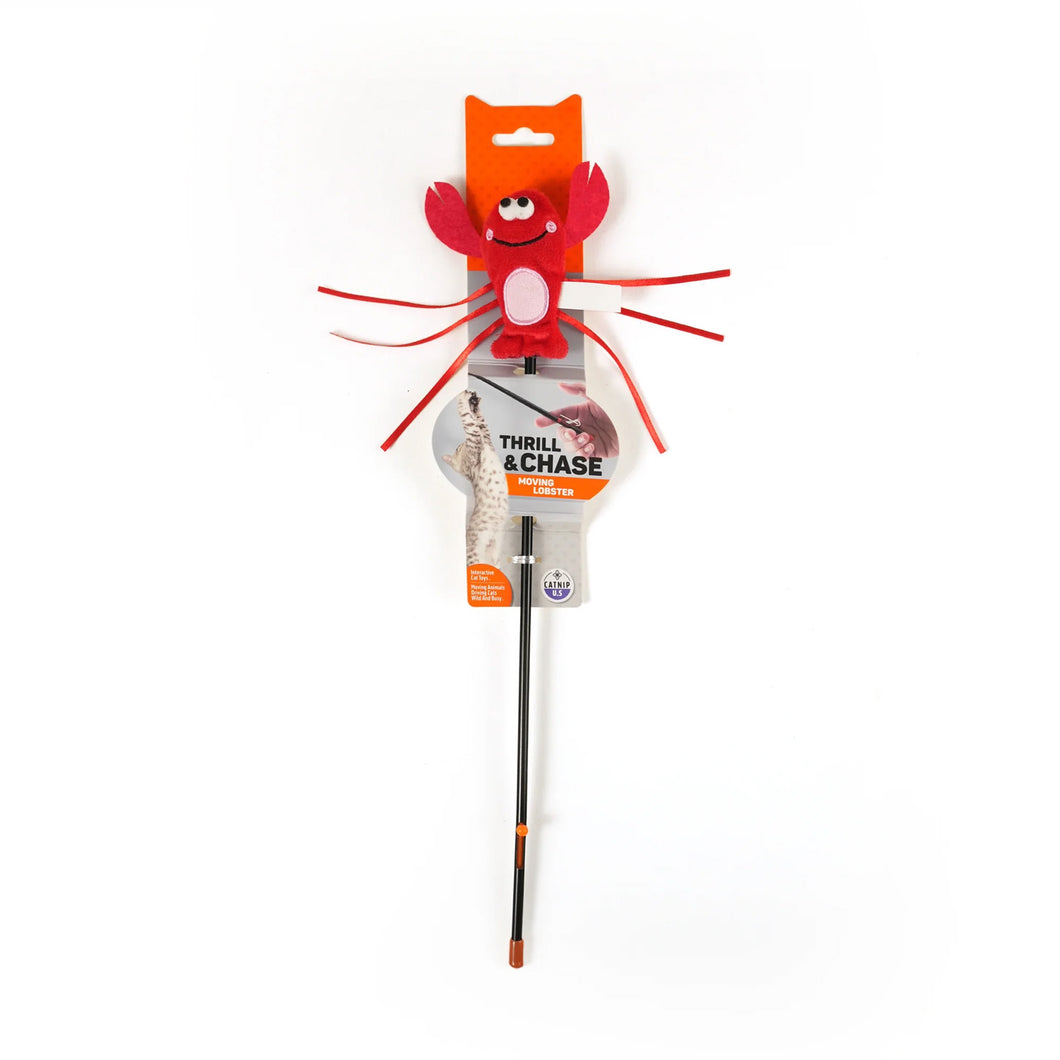 Juguete para Gato Varita