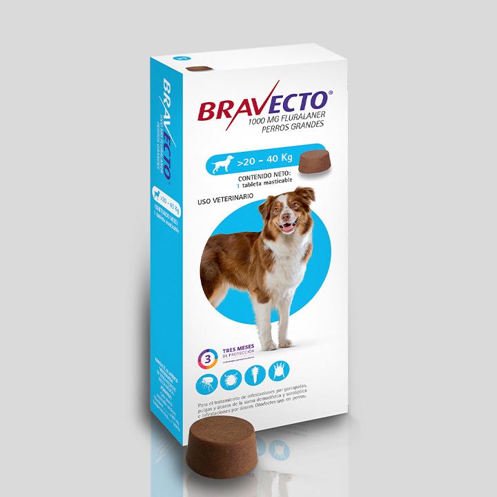 Bravecto Antipulgas para Perros