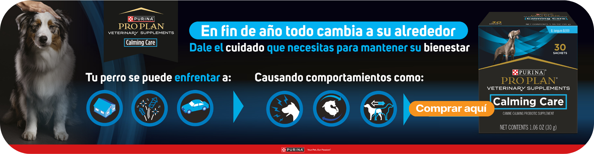carousel image