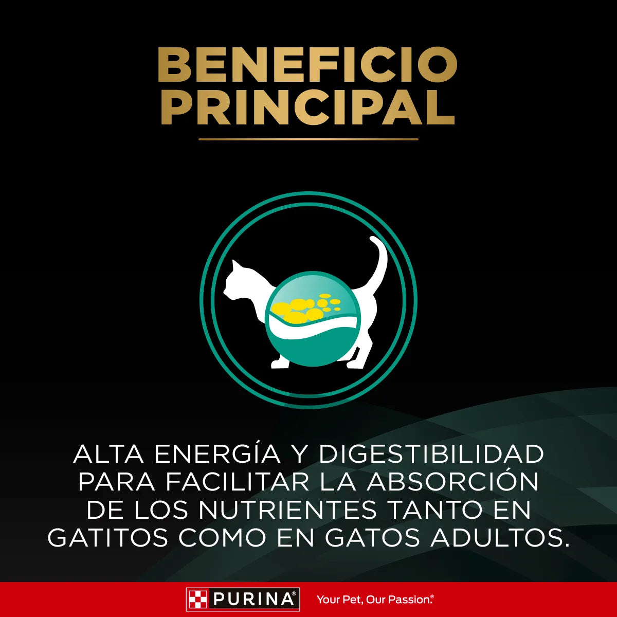 Pro plan Felino EN Gastroenterico