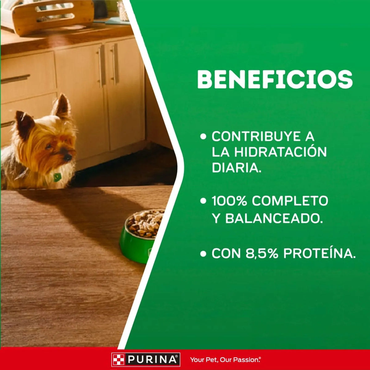 DOG CHOW CORDERO ADULTO ALIMENTO PARA PERROS