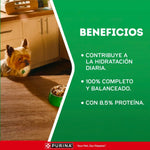 DOG CHOW CORDERO ADULTO ALIMENTO PARA PERROS