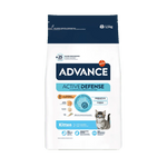 Advance Gato Kitten