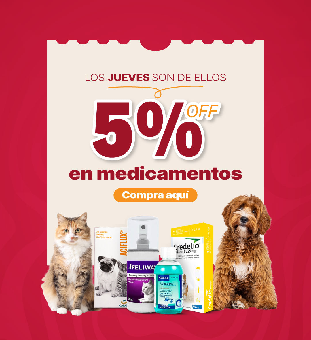 carousel image mobile