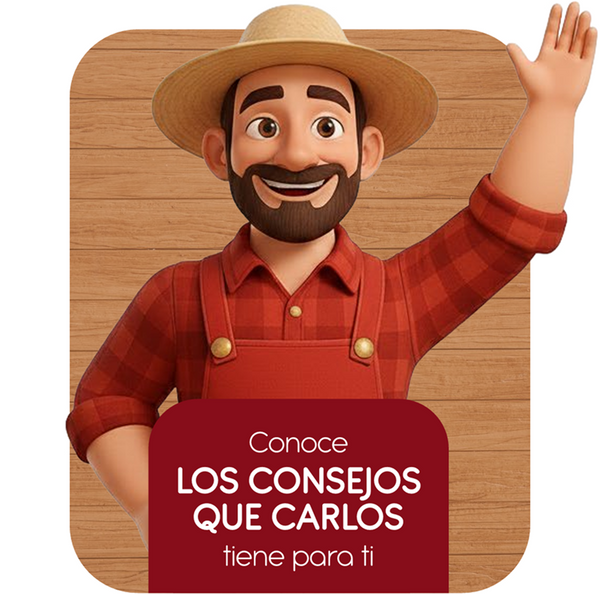 Consejos de Carlos