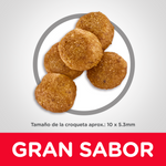 Hills Felino Adult Perfect Weight Pollo Alimento para Gatos