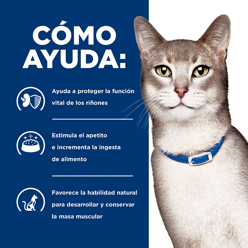 Hills Felino Kidney Care k/d Alimento para Gatos