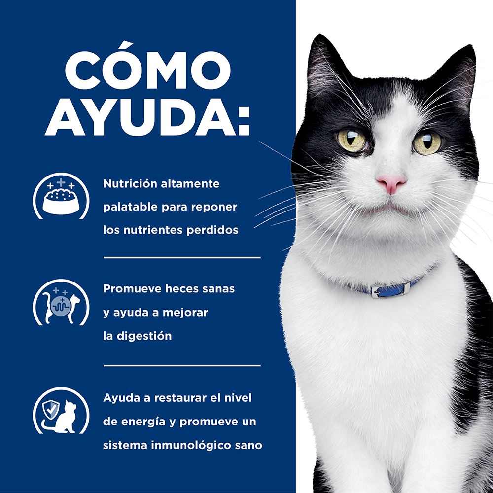 Hills Felino Digestive Care i/d Alimento para Gatos 4 LB