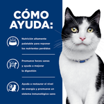 Hills Felino Digestive Care i/d Alimento para Gatos 4 LB