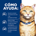 Hills Felino Urinary Care c/d Multicare Alimento para Gatos 4 LB
