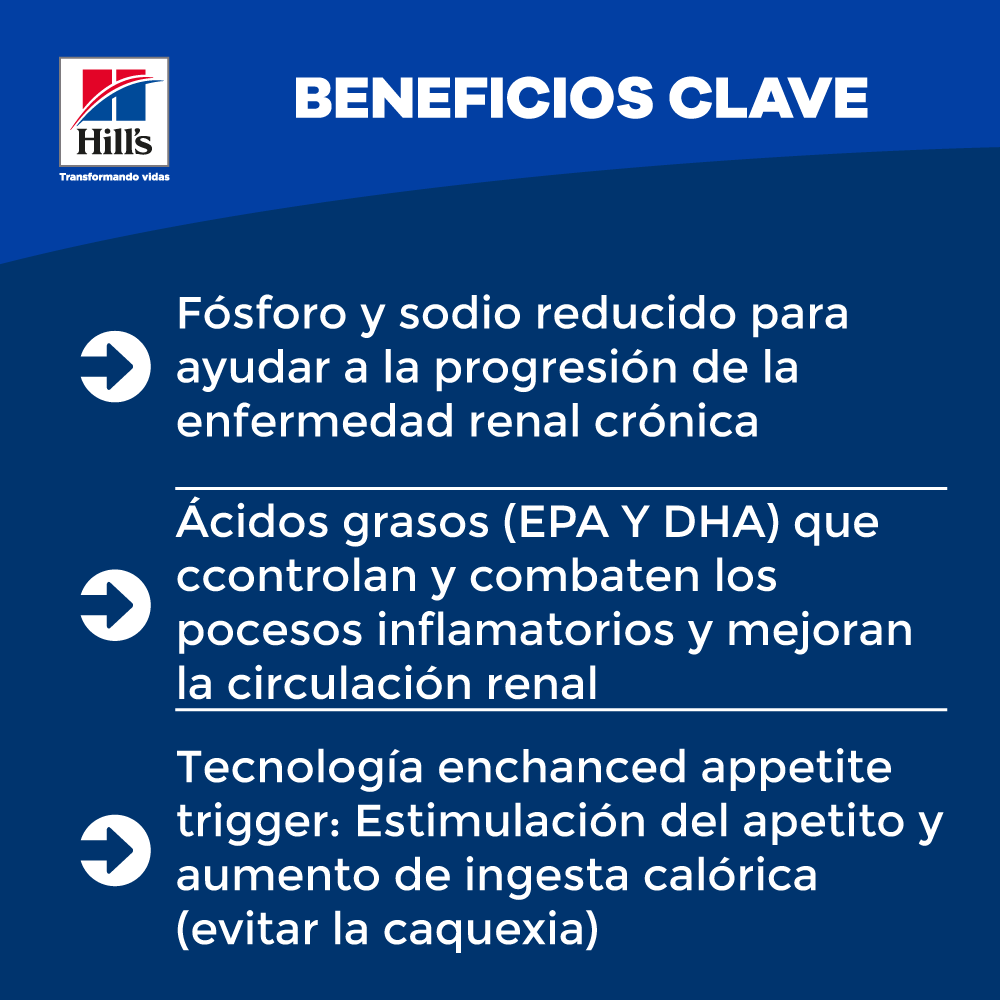 Hills Canino Kidney Care k/d Alimento para Perros