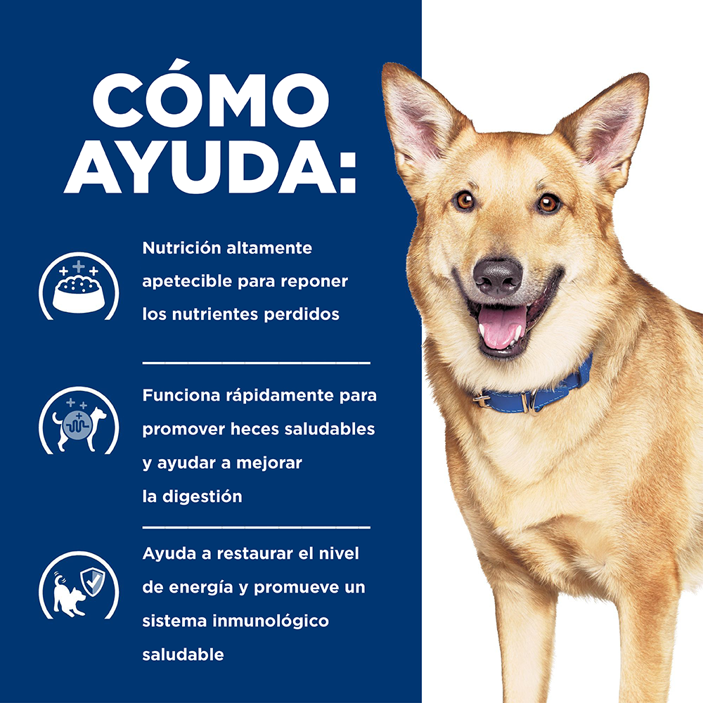 Hills Canino Digestive Care i/d Alimento para Perros Raza Grande