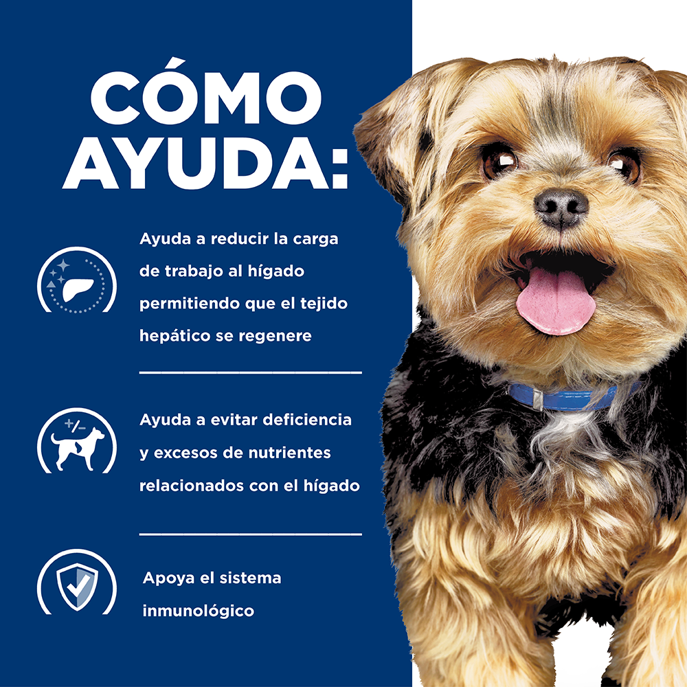 Hills Canino Liver Care l/d Alimento para Perros