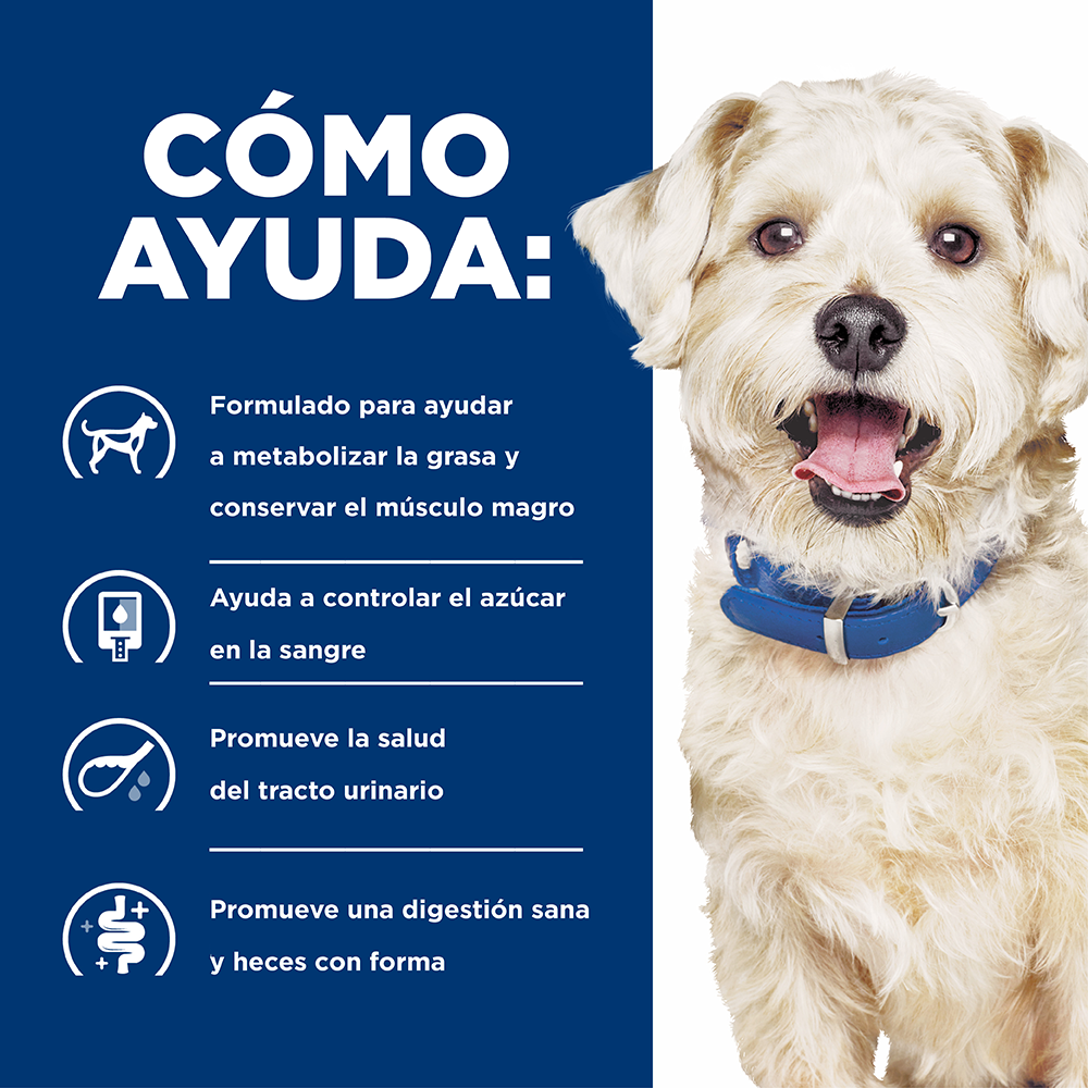 Hills Canino W/D Digestive/Weight/Glucose Management Alimento para Perros