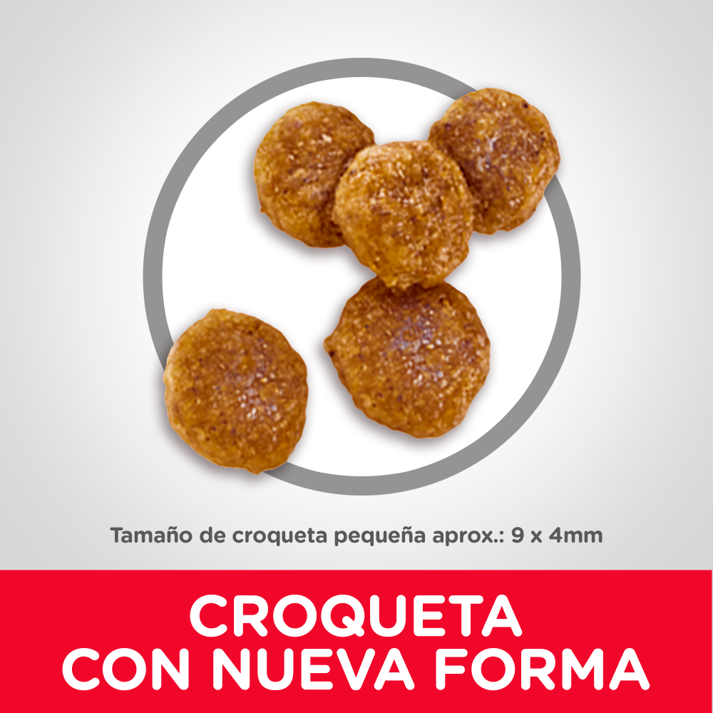 Hills Canino Adult Small Bites Pollo Alimento para Perros