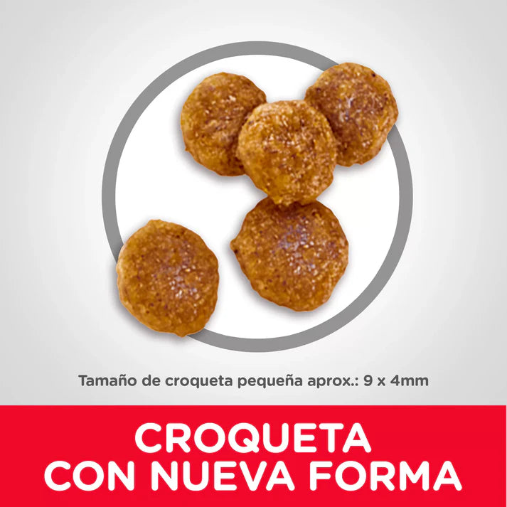 Hills Canino Adult Small Bites Cordero y Arroz Alimento para Perros