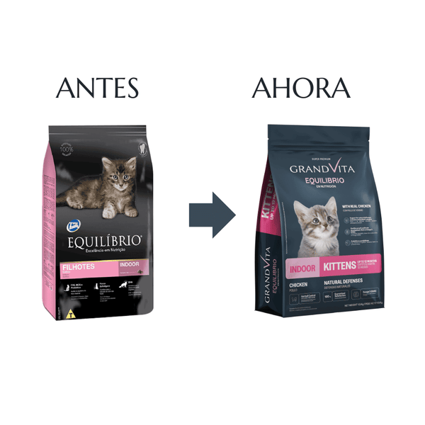 GRAND VITA FELINO EQUILIBRIO KITTEN