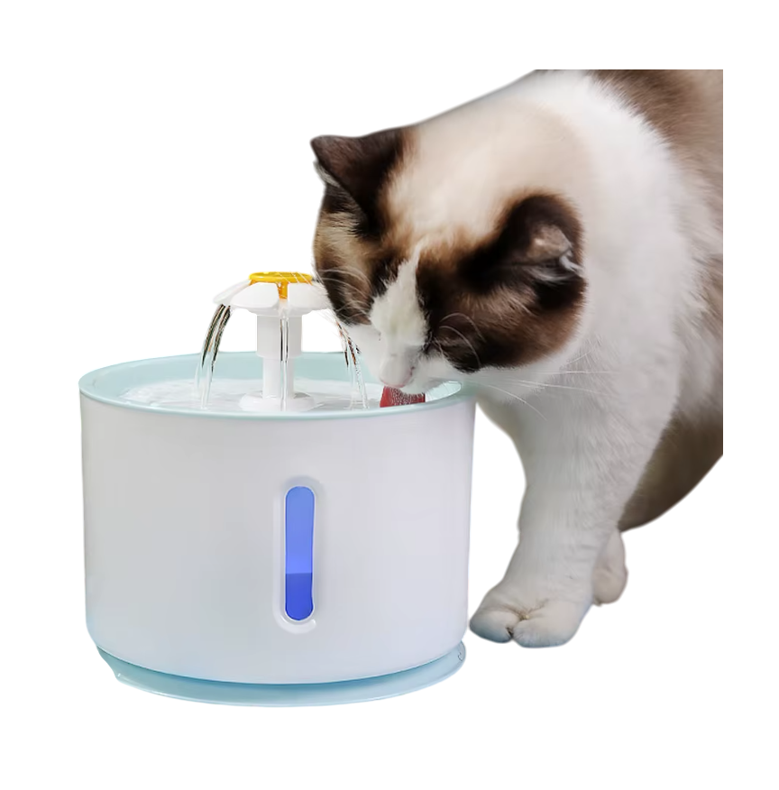 Fuente Flower Paras Mascotas