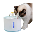Fuente Flower Paras Mascotas