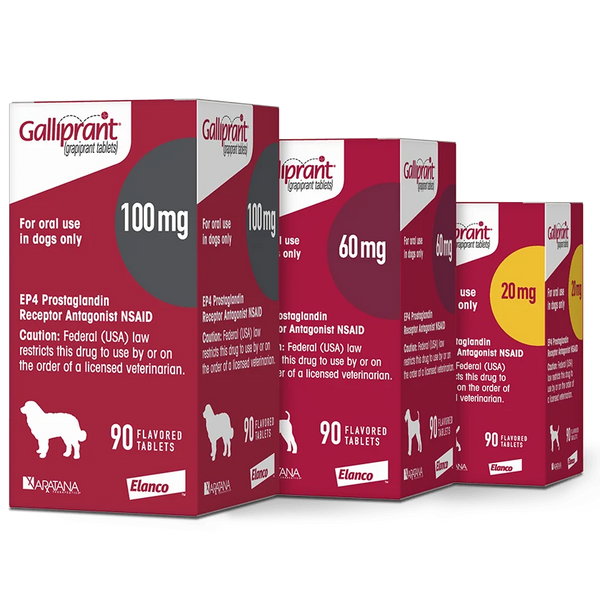 Galliprant antiinflamatorio