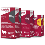 Galliprant antiinflamatorio