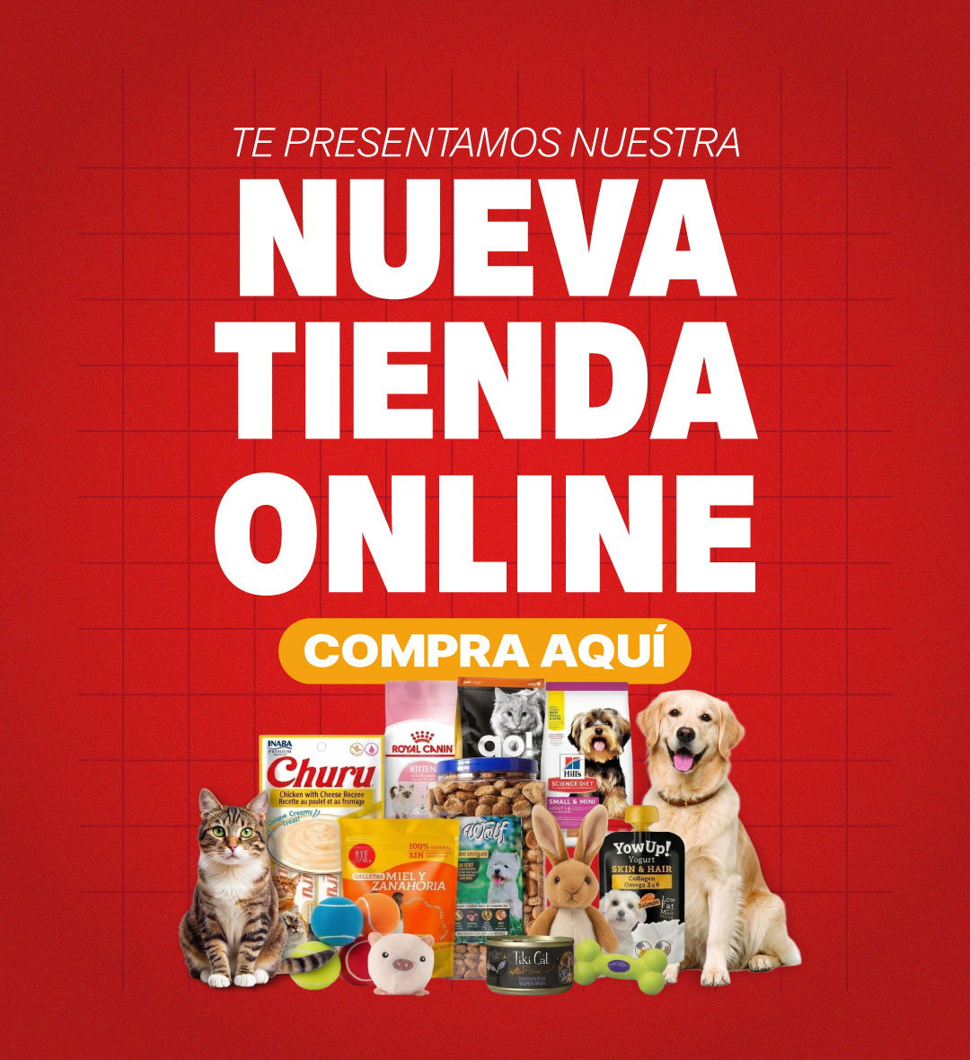 carousel image mobile