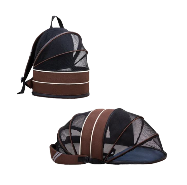Morral Spring