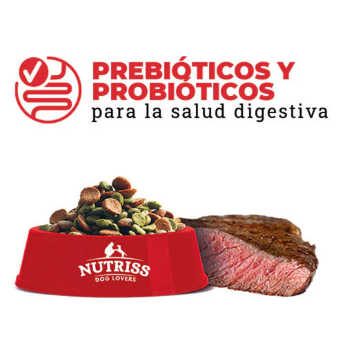 Nutriss Adultos Carne y Vegetales