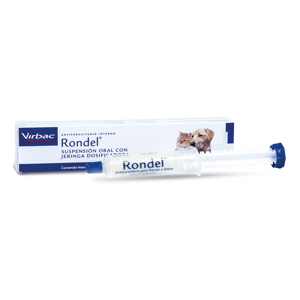 RONDEL