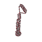 Trenza Terrier