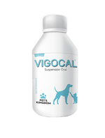 VIGOCAL SUPLEMENTO NUTRICIONAL X120ML