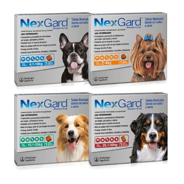 Nexgard Antipulgas y Antiparasitario
